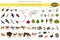 Temperate and dry steppe biome, natural region isometric infographic. Prarie, steppe, grassland, pampas. Terrestrial ecosystem