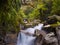 Temperate rainforest waterfall