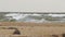 Tempestuous waves crash on sandy shore, storm brews over ocean, seagull braves windy beach scene. Dramatic coastal