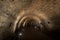 The Templars\' Tunnel in Akko