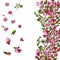 Template or background of blossoming pink branch of apple tree and flowers. Hand drawn colored sketch of malus flowers.