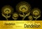 Template banner from Dancing Decorative Dandelion in Zen tangle style gold on black