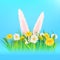 Template banner Easter eggs Ears of an easter Bunny sticking out dandelions and daisies, grass, green nature background