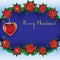 Template Christmas card with fir branches and flowers poinsettia. Winter and Valentines background.