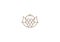 Template Creative Logo Protea Flower
