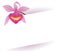 Template decorated with beautiful cattleya orchid, Vector illustration