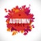 Template design circle autumn sale banner with decor silhouette of plants. Sign of promotion and discounts offer of th