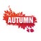 Template for the design of a horizontal banner for the autumn season. Sign with text fall on a red background with a