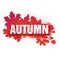 Template for the design of a horizontal banner for the autumn season. Sign with text fall on a red background with a