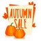 Template Design Poster autumn sale. The poster with the decor of orange maple leaves and pumpkins. Stickers with the