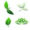 Template Simple Logo green leaves