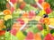 Template for your design. fruit background. frosted glass.