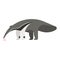 TemplateVector flat style illustration of anteater.