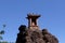 A temple along the slopes of Shibao Mountain, Yunnan, China