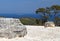 Temple of Aphaea at Aegina, Greece