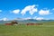 Temple of Bayanbulak Grasslands in Xinjiang