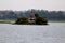 Temple in Center of Dalpat Sagar Lake