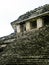 Temple of the Count - Palenque - Chiapas