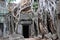 Temple doorway, Ankor Wat