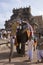 Temple Elephant - Thanjavur - Tamil Nadu - India