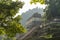 Temple Of The Inscriptions Palenque