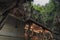Temple inside the Batu Caves in Kuala Lumpur, Malaysia. Batu Caves are located just north of Kuala Lumpur,and have three main cave