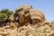 The Temple of Olympian Zeus was the largest Doric temple ever constructed and now lies in ruins. Temples Valley, Agrigento, Sicily