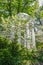 Temple - pagoda with tall classical columns partly hidden in blooming dogwood trees and other lush spring foliage