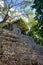 Temple of the Paintings Vertical View