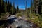 Temple pass trail in Banff National Park, Alberta, Canada