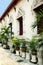 Temple with plants in Bangkok