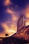 The Temple of Poseidon and a tree. Cape Sounion, Greece. Soft focus