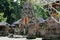 Temple Pura Dalem Agung Padangtegal in Monkey forest, Ubud, Indonesia