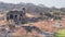 Temple ruins, Ranthambore Fort, Ranthambore National Park, Rajasthan, India