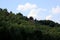 Temple surrounded by pine tree on mountain