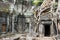 Temple Of Ta Phrom