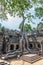 Temple of Ta Prohm in Cambodia