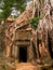 Temple of Ta Prohm in Cambodia