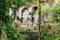 Temple wall amongst tropical vegetation