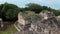 Temple of Winds Tulum Mayan Ruins Zona Arqueologica Mexico.