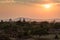 Temples in Bagan at sunset