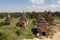 Temples and pagodas of Bagan