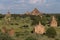 Temples and pagodas of Bagan