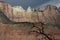 Temples of the Virgin from the Watchman Trail, Zion National Park, Utah