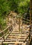 Temporary bamboo staircas.