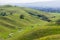 Temporary creek flowing among the green hills and valleys in Coyote Lake - Harvey Bear Park, Morgan Hill, California