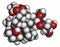 Temsirolimus cancer drug molecule. Prodrug of sirolimus (rapamycin). Atoms are represented as spheres with conventional color