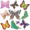 Ten bright motley butterflies