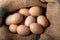 Ten brown, eggs on burlap. Top view. Poultry farm, protein