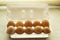 Ten chicken eggs color inopen foam packaging, top view